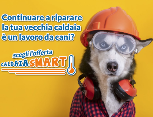 Caldaia Smart
